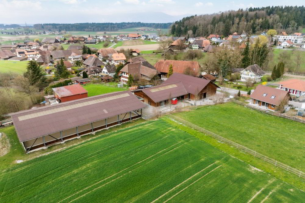 Bijou - Reitsportimmobilie mit Reithalle und Wohnhaus - Ansicht 4