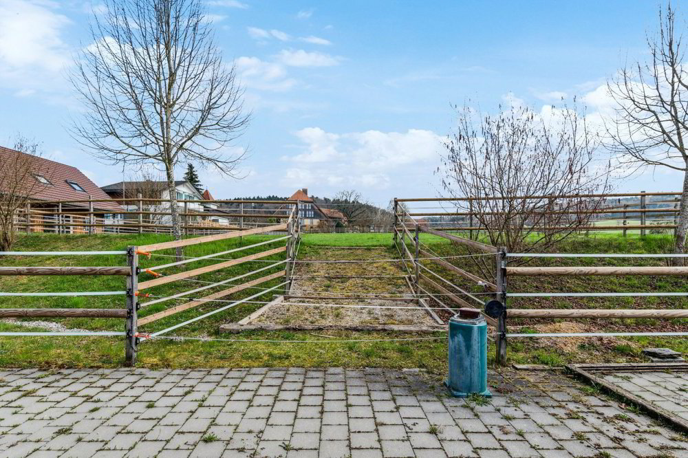 Bijou - Reitsportimmobilie mit Reithalle und Wohnhaus - Mehr