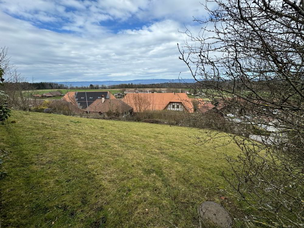 null rooms Office & Commercial to buy in Mühleberg - image 1/2