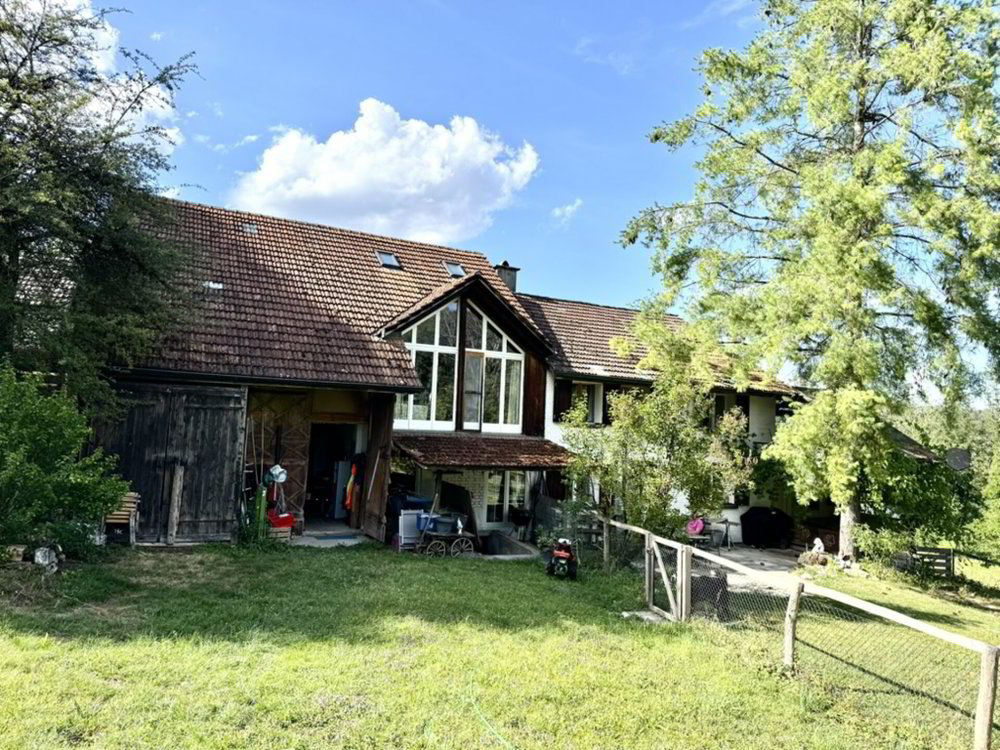 Grosses freistehendes 7.5-Zimmer-Bauernhaus für Pferdeliebhaber oder Kleintierhalter! Pferdeboxen, Remise, Wald und Wiesen .... - Mehr