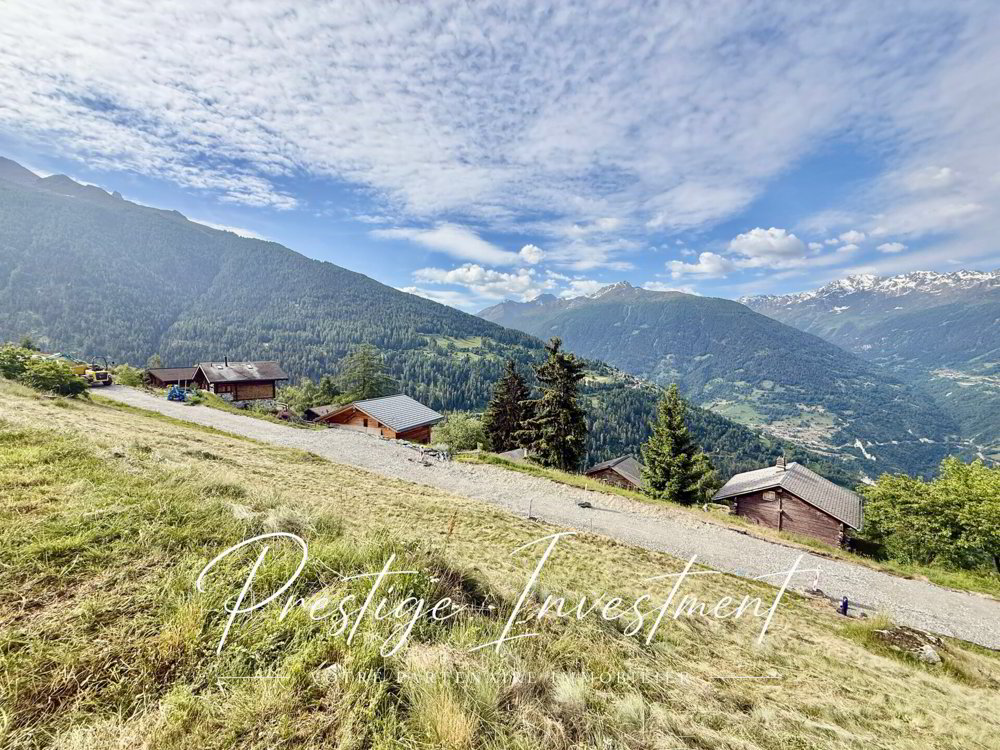 TERRAIN DE 885 M2 AVEC PERMIS EN FORCE - MAYENS DE MASE - Ansicht 5