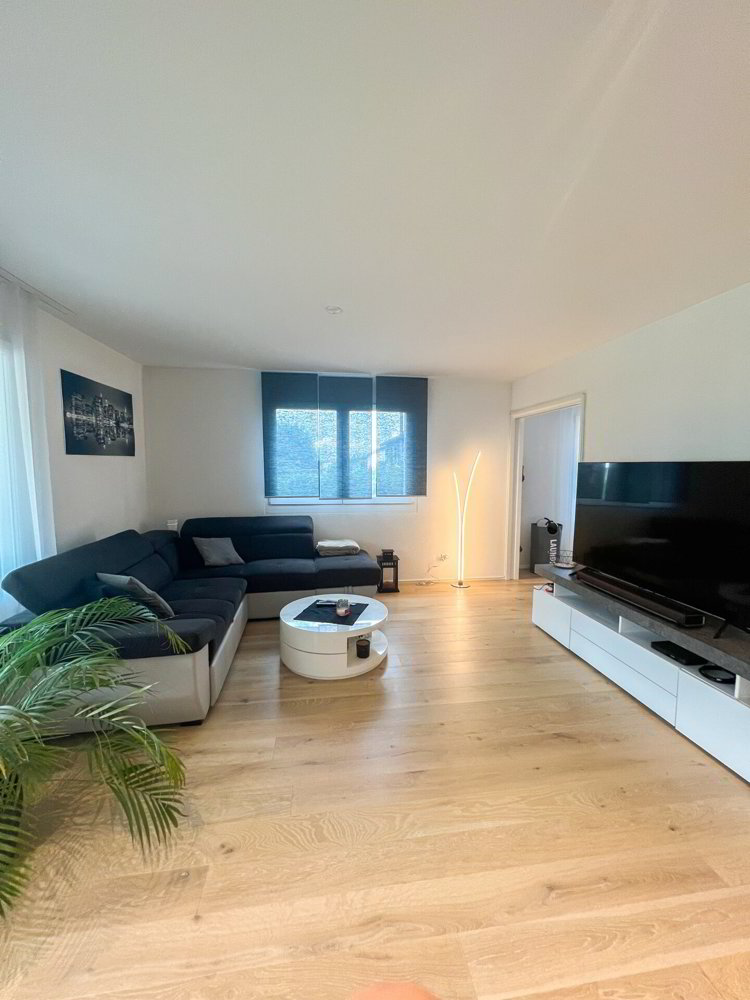 Appartement 2.5 pièces à louer à Rickenbach Sulz - image 1/6