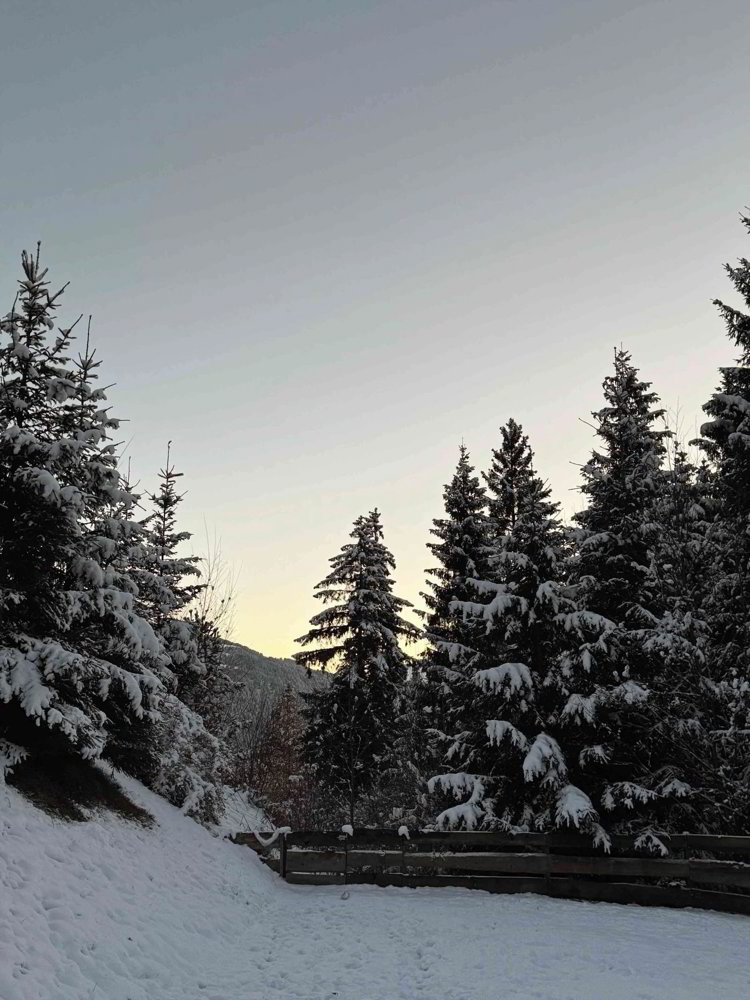 Appartamento di 4.5 locali in affitto a Laax GR - immagine 1/13
