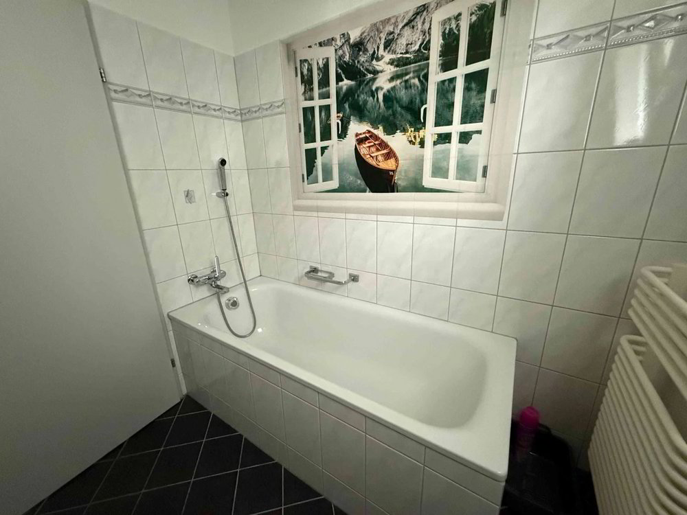 3.5 rooms Apartment for rent in Langwiesen - image 1/11
