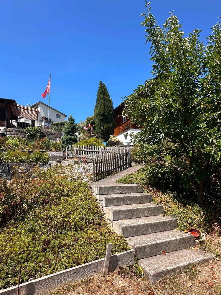 Haus – St. Erhard - Ansicht 4