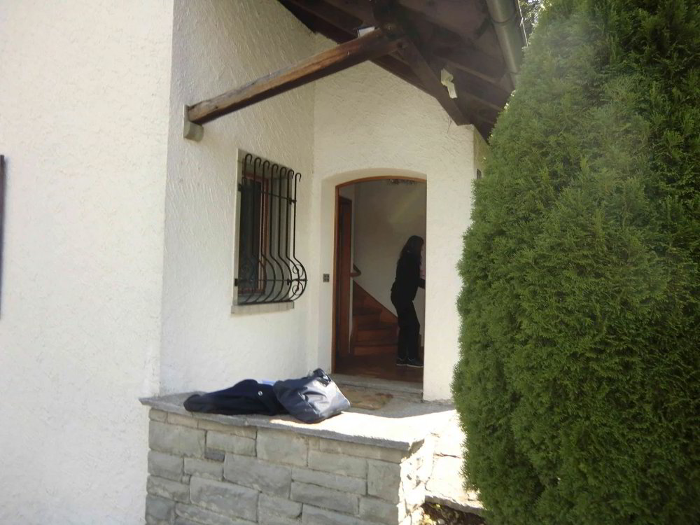 Haus – Horgen - Ansicht 2