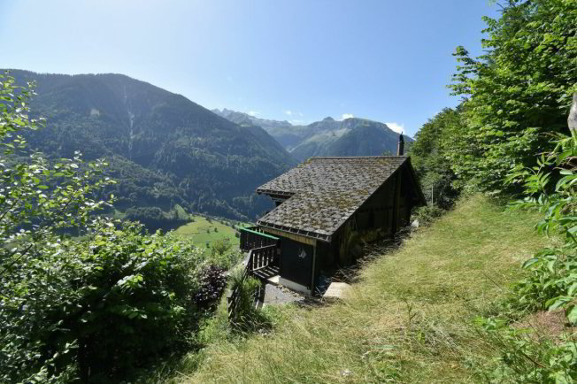 Maison null pièces à acheter à Luchsingen - image 1/1