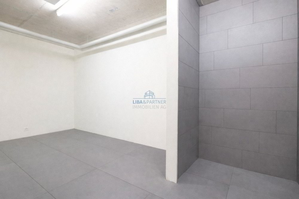 Appartement 4 pièces à louer à Binningen - image 1/12