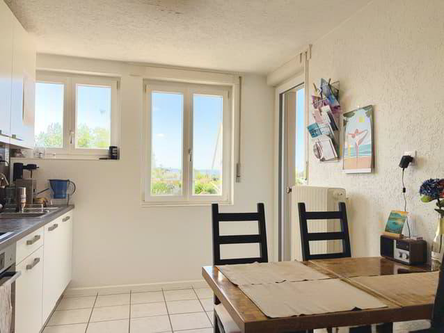 9 rooms House to buy in Fribourg - image 1/13
