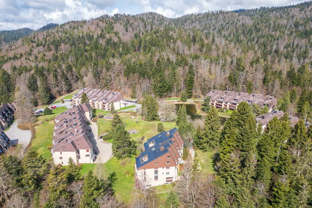 4 rooms Apartment to buy in St-Cergue - image 1/13