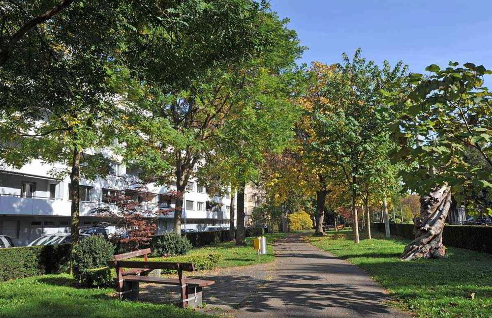 Wohnung – Basel, St. Alban - Ansicht 2
