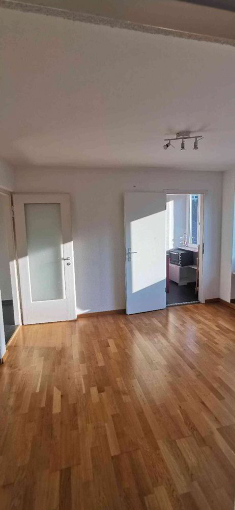 2 rooms Apartment for rent in Luzern - image 1/12