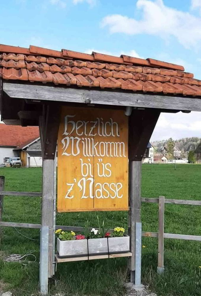 4.5 Zimmer Wohnung zu vermieten in Nassen - Bild 1/13