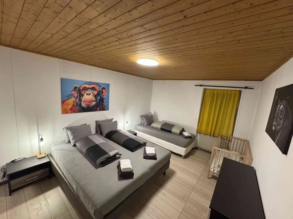 Wohnung – Göschenen - Ansicht 4