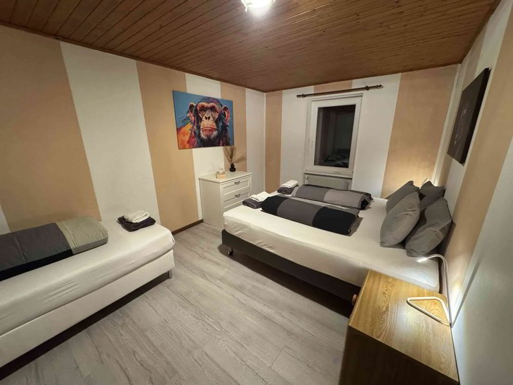 Wohnung – Göschenen - Ansicht 5