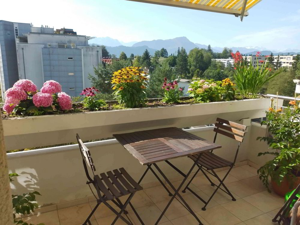 2.5 rooms Apartment for rent in Lucerna - image 1/7