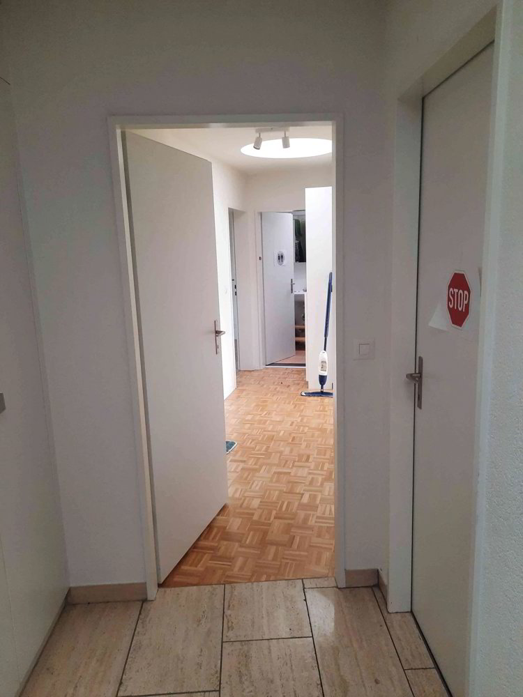 4.5 rooms Apartment for rent in Dornach - image 1/6