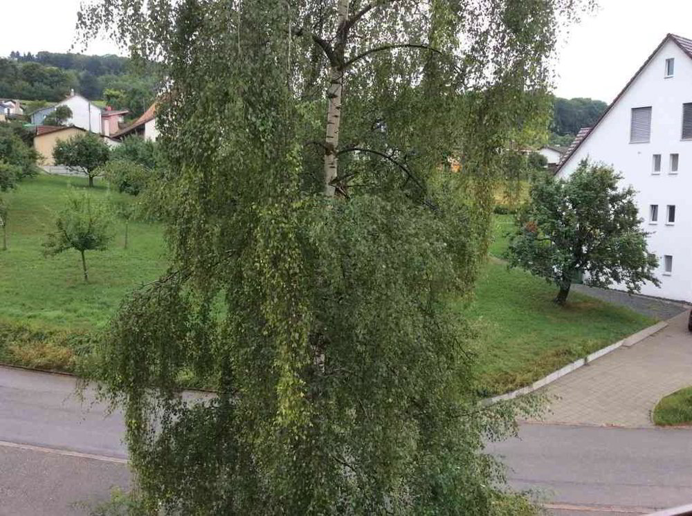 Appartement 5 pièces à louer à Hersberg - image 1/13