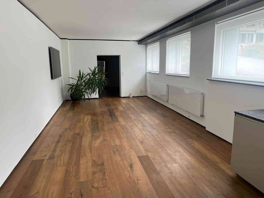 Wohnen und Arbeiten unter einem Dach zwischen Bern und Thun auf 290 m² - Ansicht 4