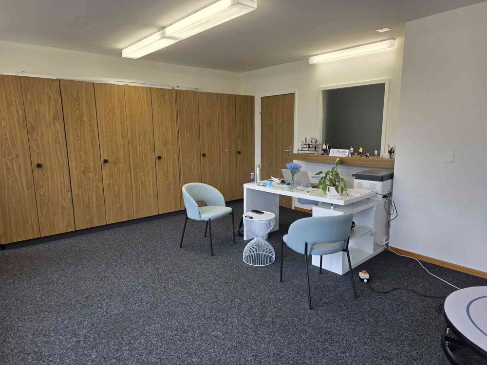 1 rooms Office & Commercial for rent in Chur - image 1/3