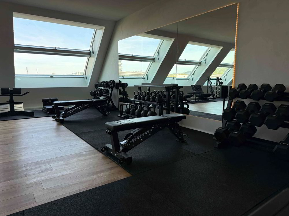 Premium Trainingsraum für Personal Trainer & Physiotherapeuten - Ansicht 3