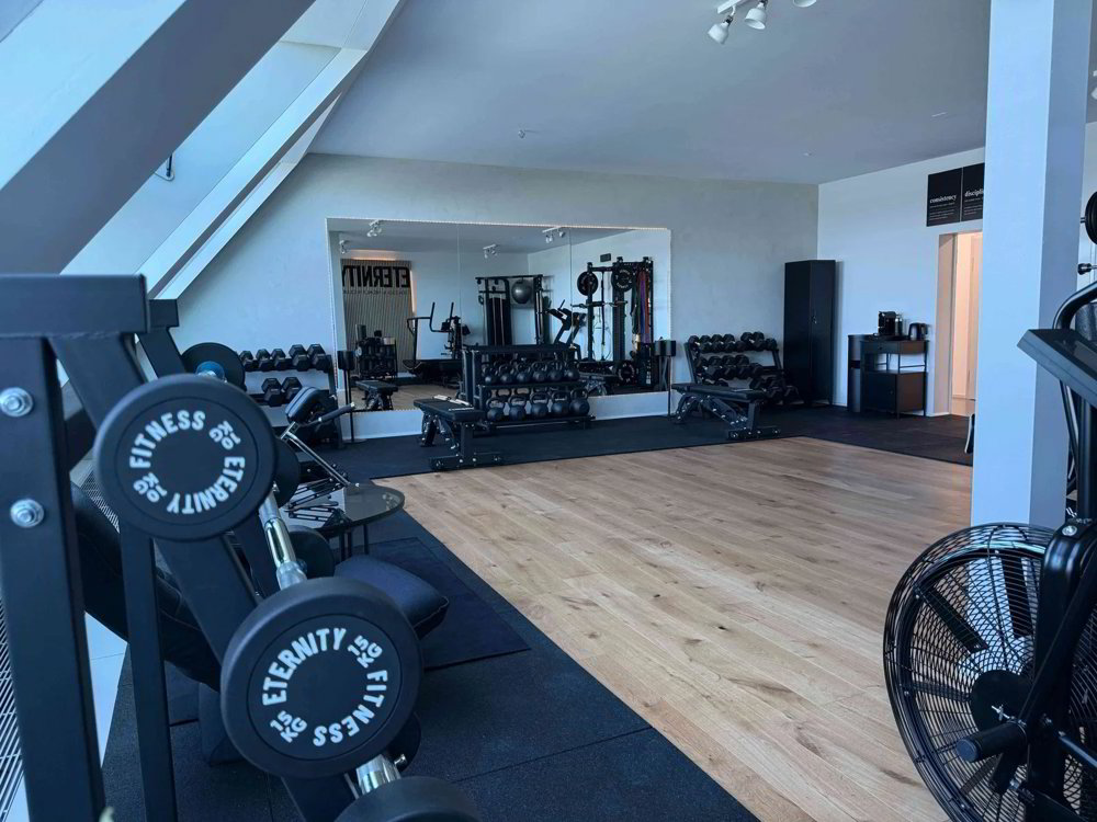 Premium Trainingsraum für Personal Trainer & Physiotherapeuten - Ansicht 4