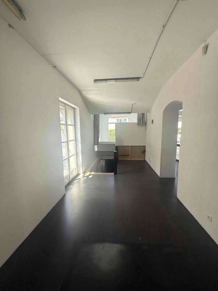 repräsentative Laden-/Gewerbe-Räumlichkeit an werbewirksamer Lage - Ansicht 5