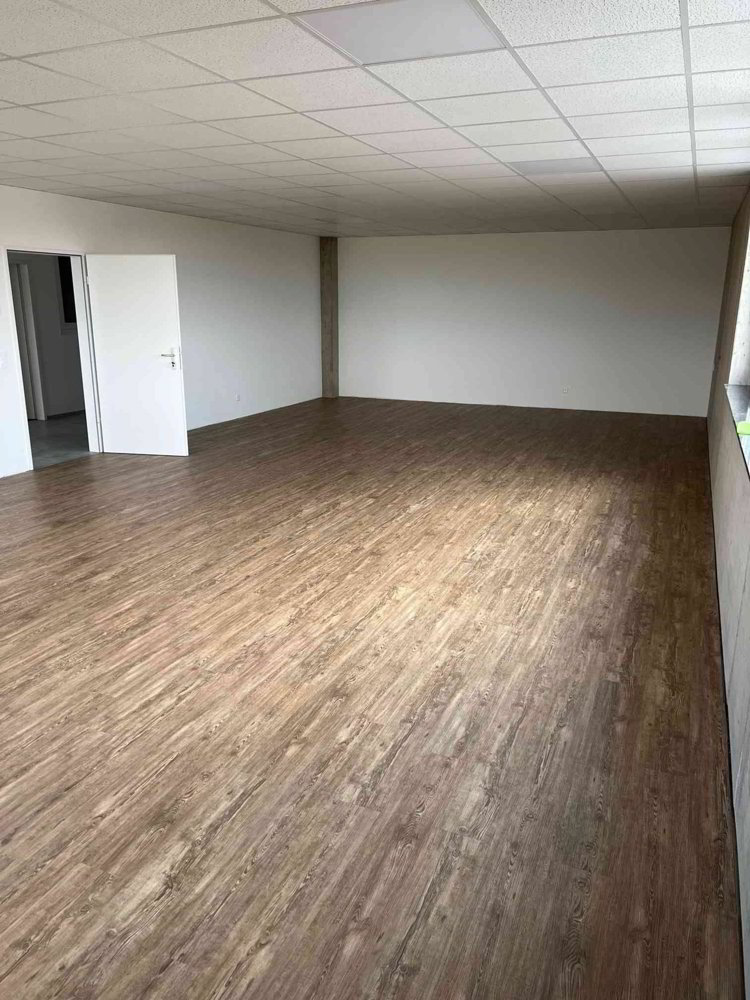 Ufficio & Commercio di 1 locali in affitto a Zeiningen - immagine 1/2