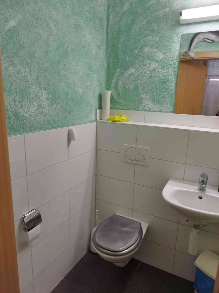 1 rooms Office & Commercial for rent in Glarus - image 1/8