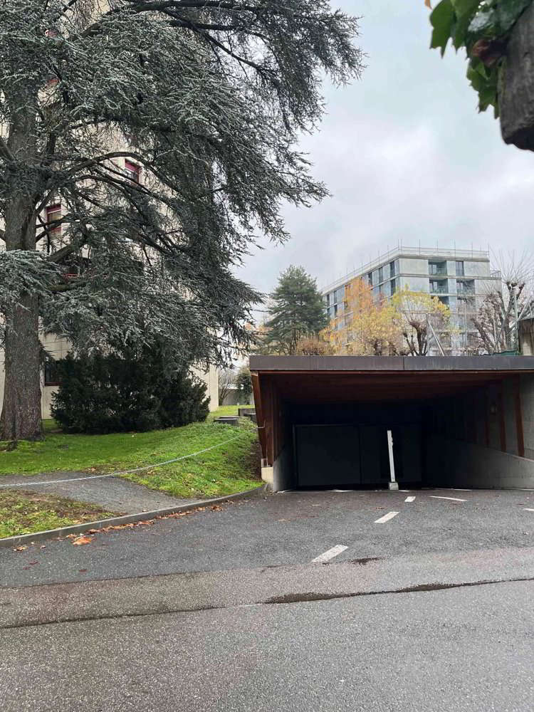 Parcheggio, garage di null locali in affitto a Ginevra - immagine 1/2