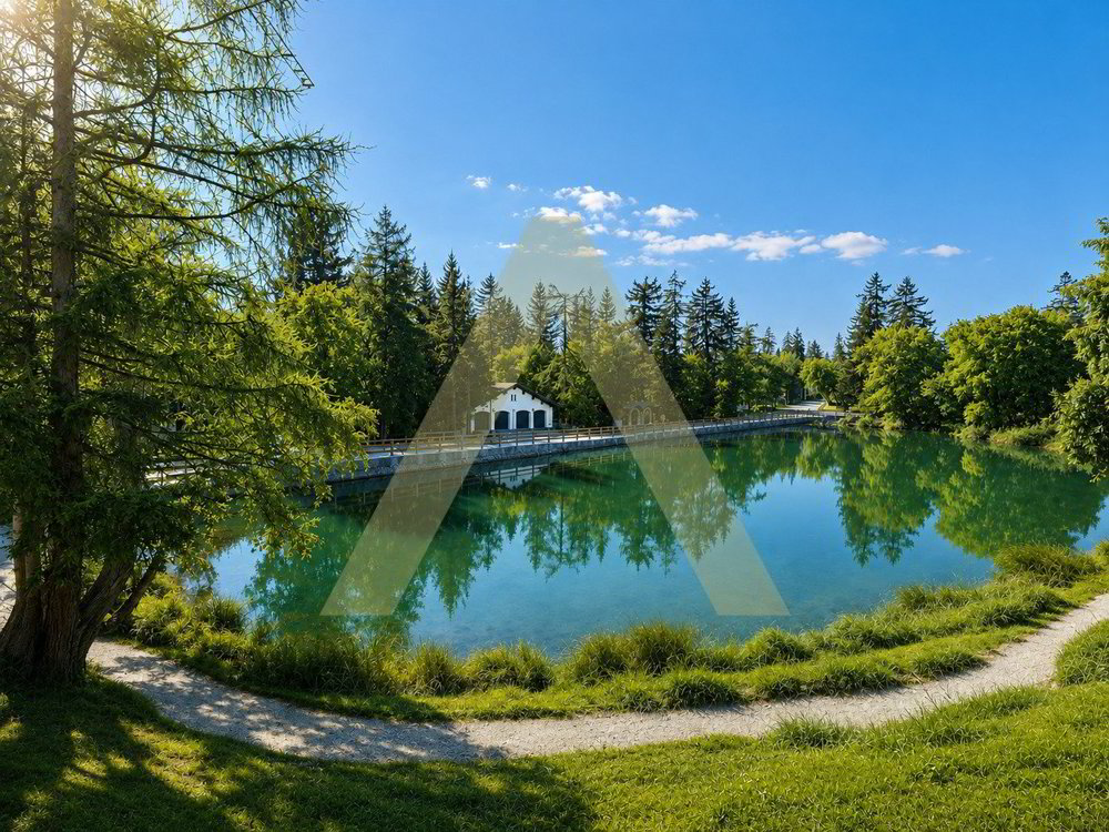 Wohnung – Crans-Montana, Randogne