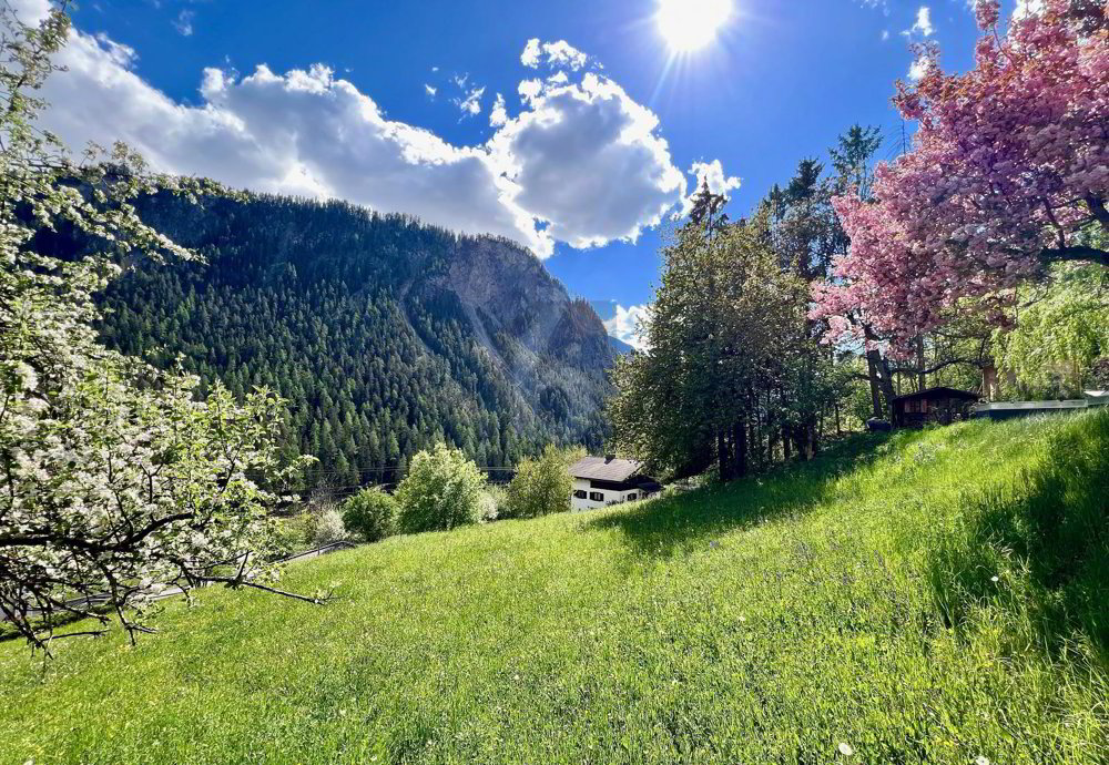 AN EINMALIGER UND SONNIGER LAGE MIT BAULANDRESERVE