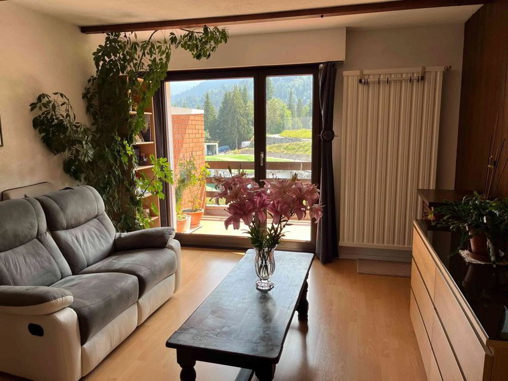 Wohnung – Vionnaz, La Jorette, Revereulaz