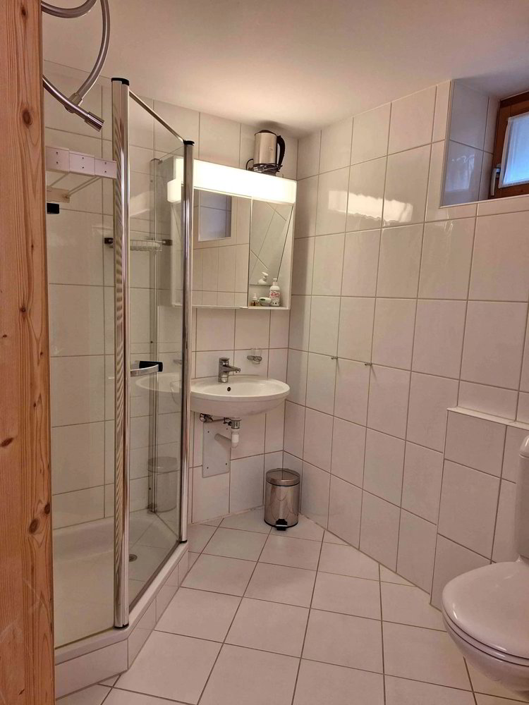 1 Zimmer Wohnung zu vermieten in Coira - Bild 1/4