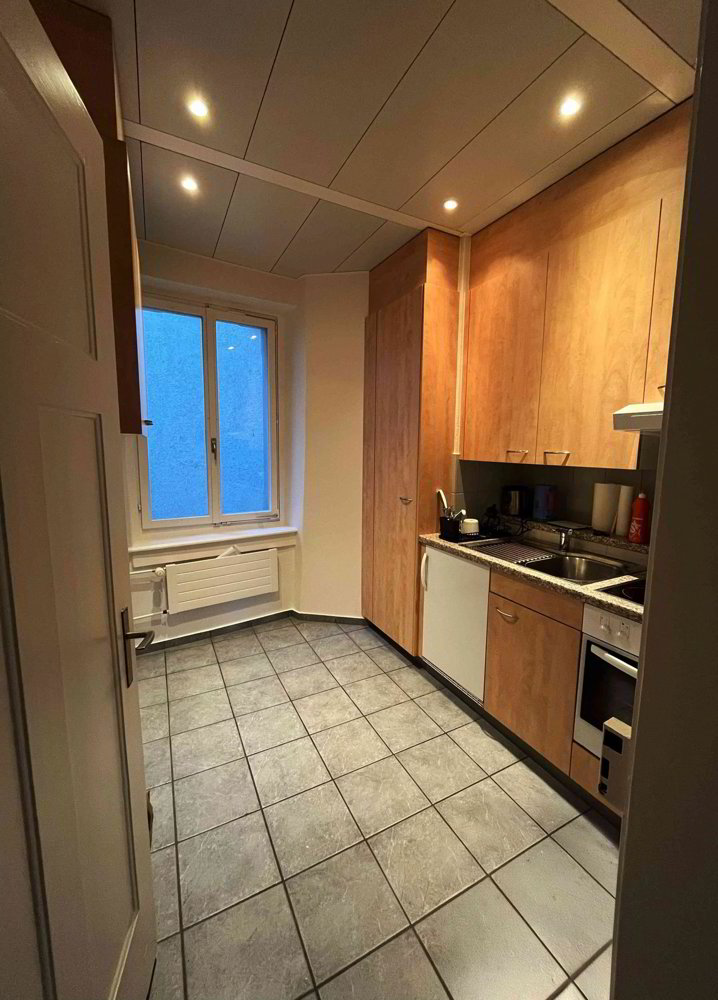 Appartement 3 pièces à louer à Saint-Gall - image 1/7