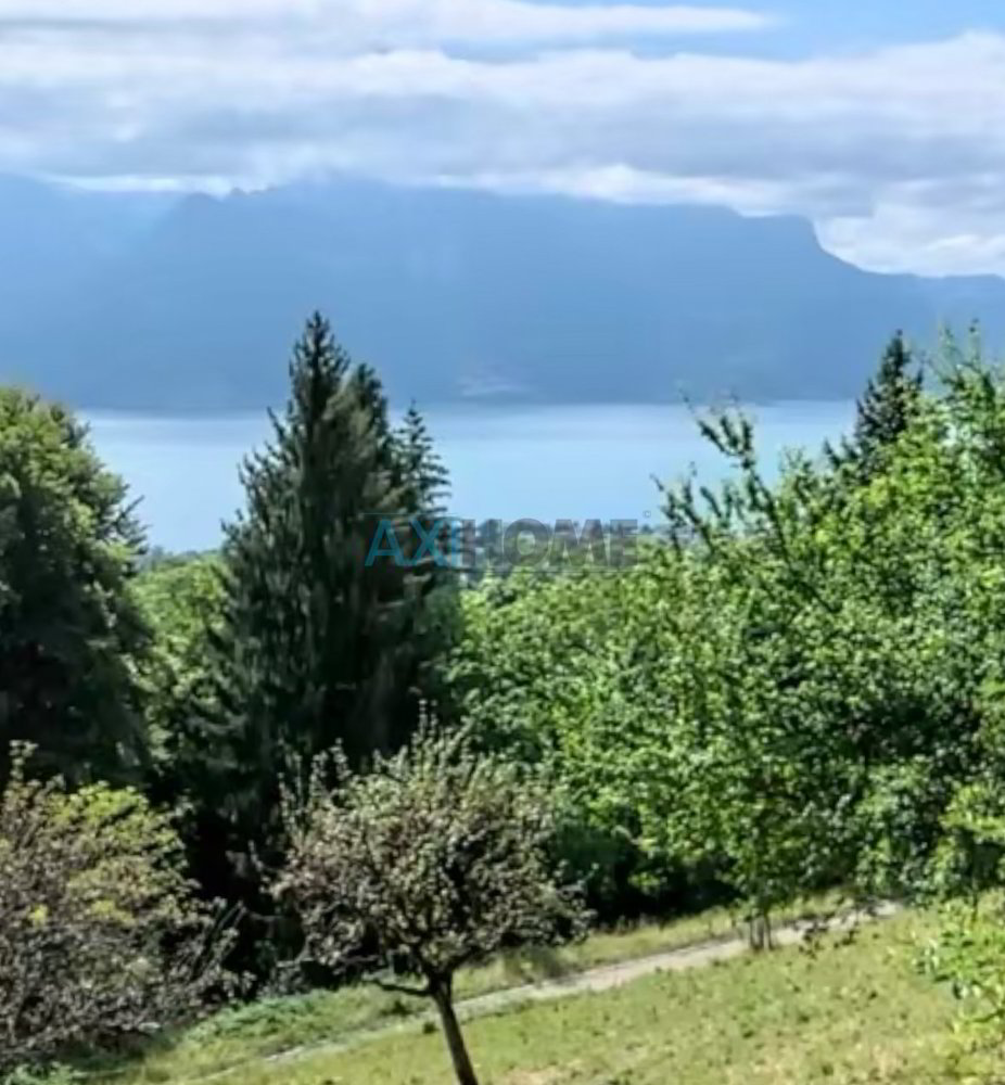 Bauparzelle mit Seeblick und Baubewilligung für ein Einfamilienhaus - Ansicht 2