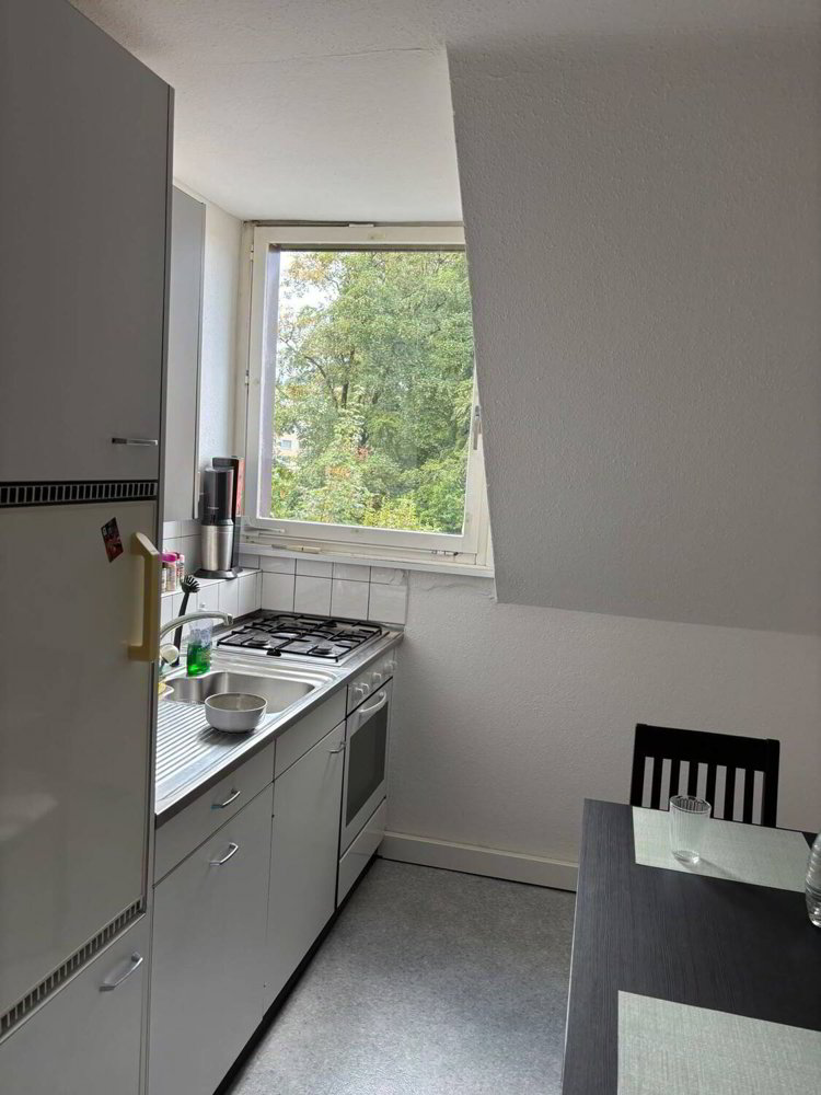 Wohnung – St. Gallen, Rosenberg - Ansicht 2