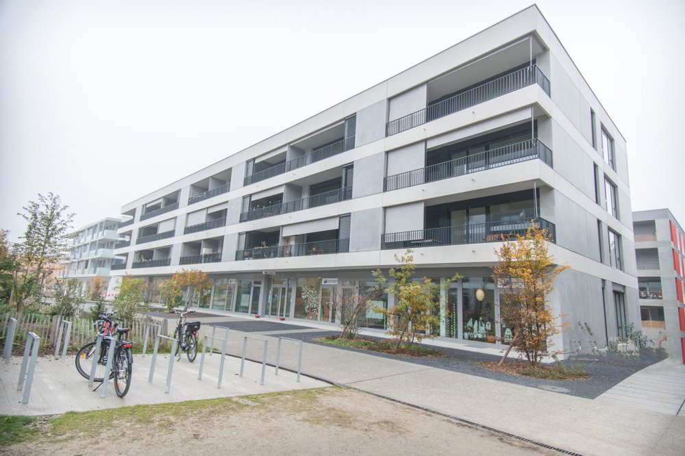 Appartement 5 pièces à louer à Meyrin - image 1/6