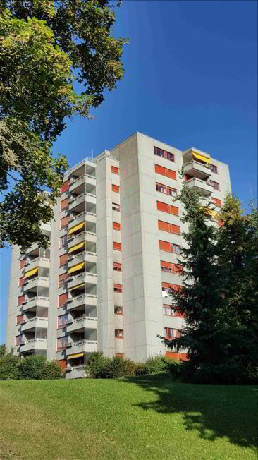 2 Zimmer Wohnung zu vermieten in Winterthour - Bild 1/1
