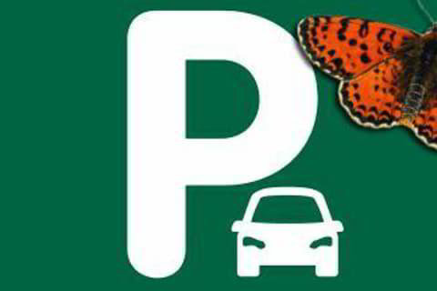 null rooms Car park, garage for rent in Bulle - image 1/1