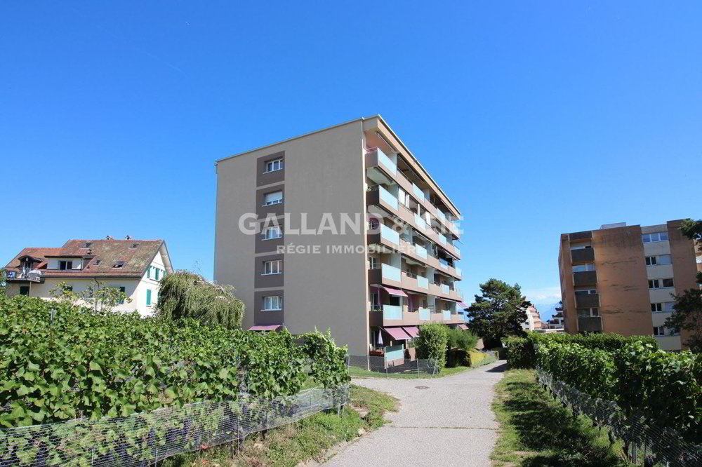 1 rooms Apartment for rent in Morges - image 1/1