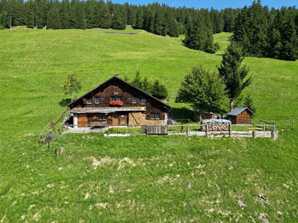 Haus – Elm