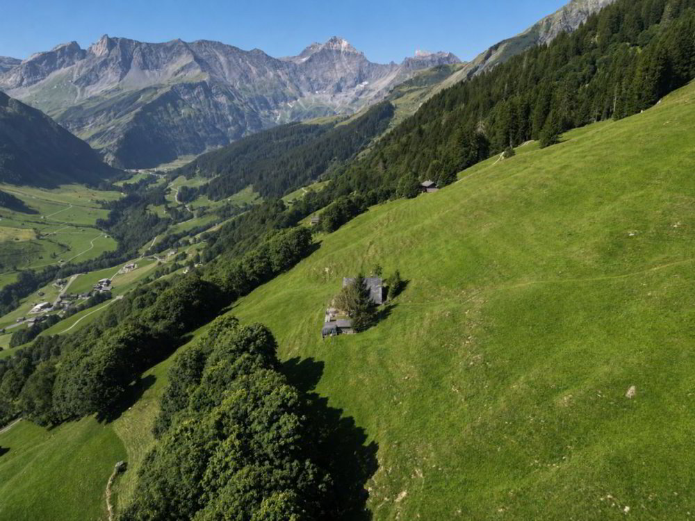 Haus – Elm - Mehr