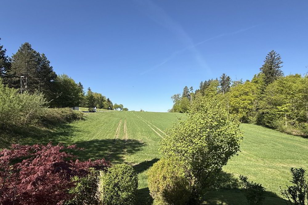 Wohnung – Pfaffhausen - Ansicht 2