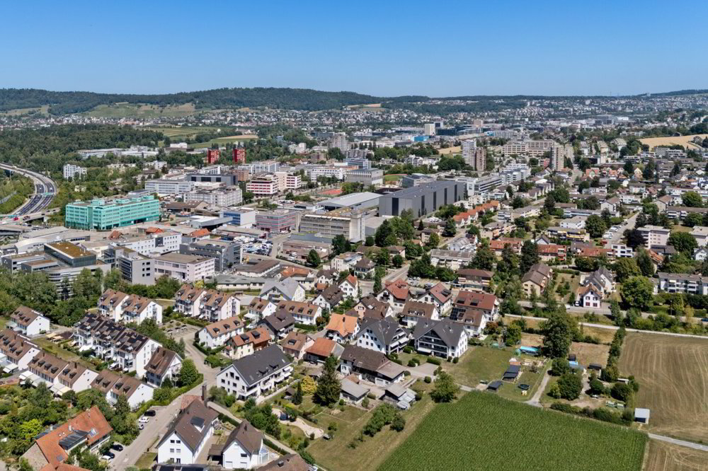 5.5 rooms House to buy in Urdorf - image 1/12