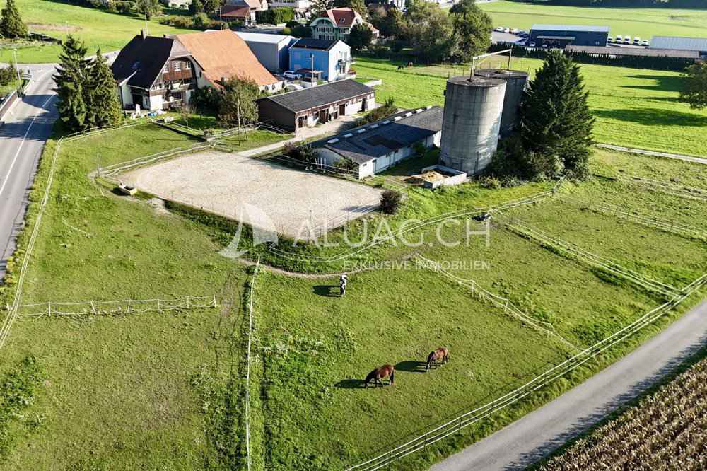 PFERDEHOF MIT PROJEKT FÜR 6 WOHNUNGEN - Ansicht 2