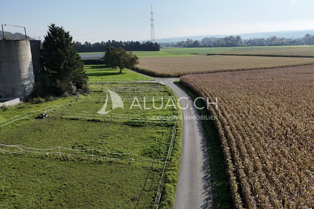 PFERDEHOF MIT PROJEKT FÜR 6 WOHNUNGEN - Ansicht 3
