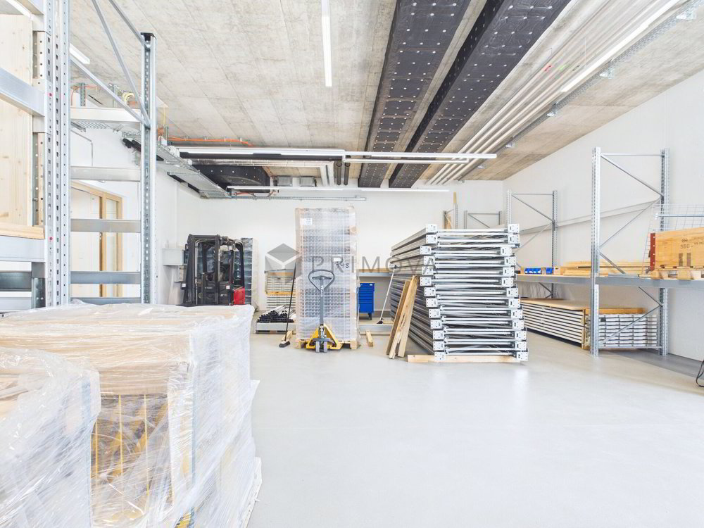 Viel Platz für deine Visionen: Neuwertiger Allrounder-Raum im Herzen von Buchrain - Ansicht 2