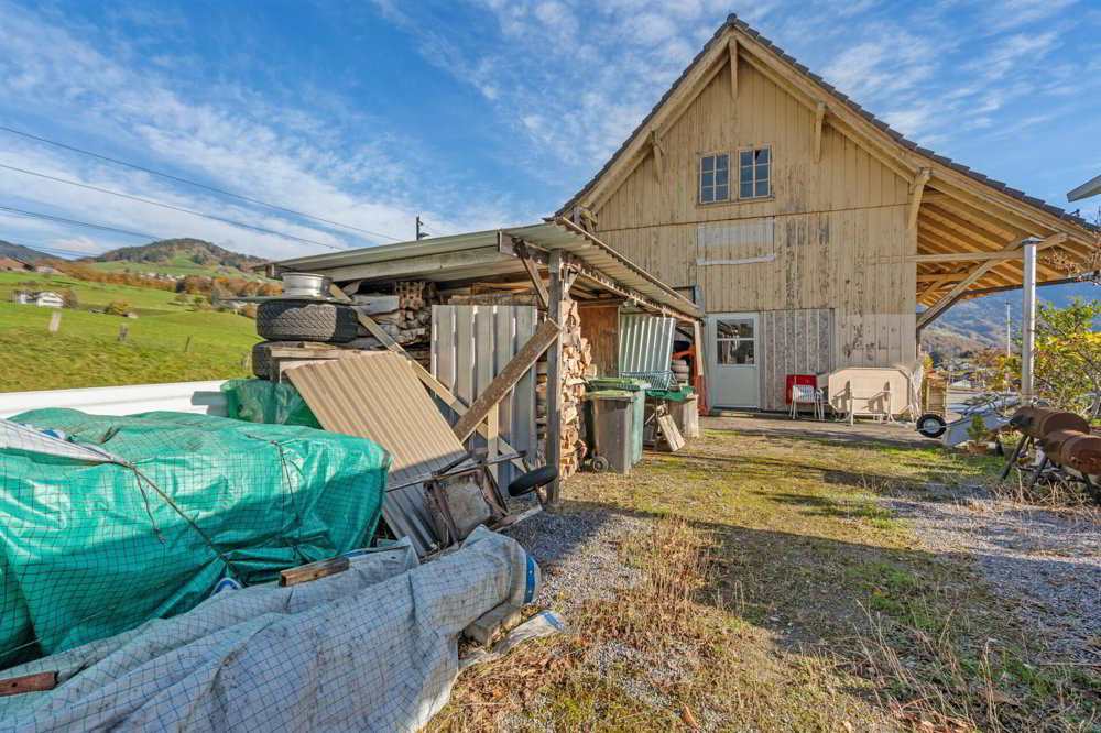 7.5 rooms Office & Commercial to buy in Kaltbrunn - image 1/4