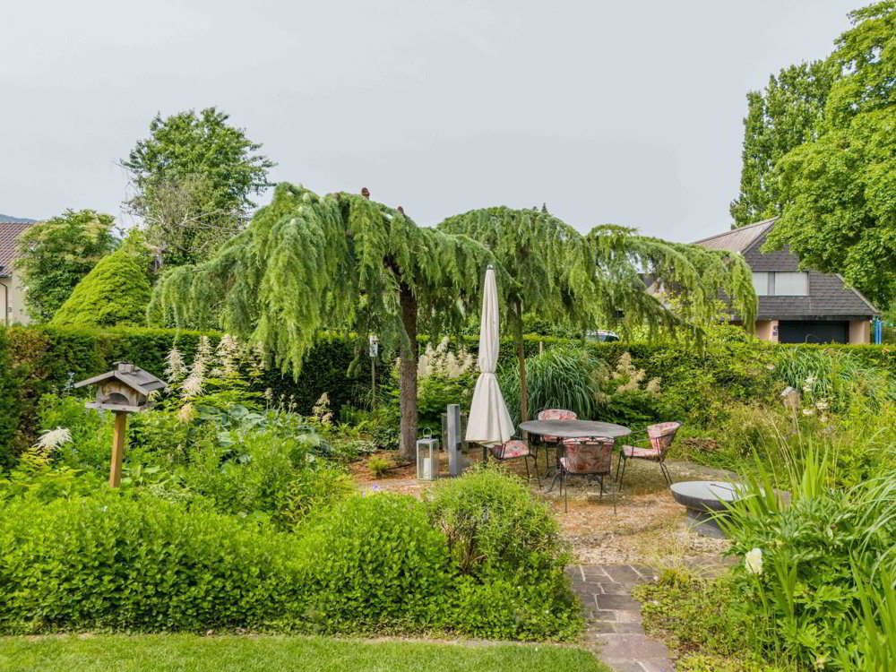 Haus – Schinznach Dorf - Ansicht 2